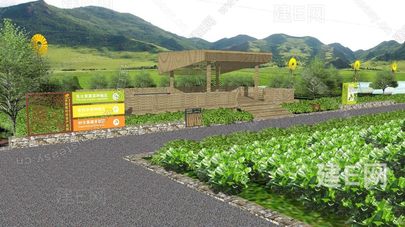 蓝莓种植间距：如何平衡土壤健康与产量提升