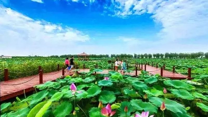 小型家庭农场补贴申请全攻略：流程解析与注意事项**