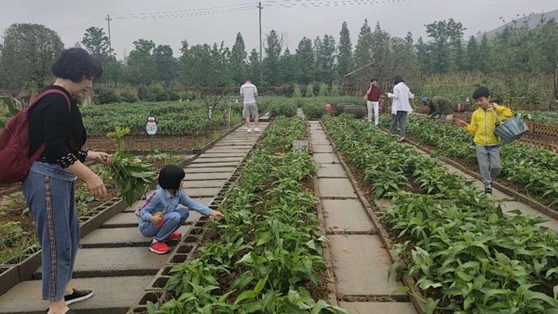 行业现状：品牌林立，品质为王
