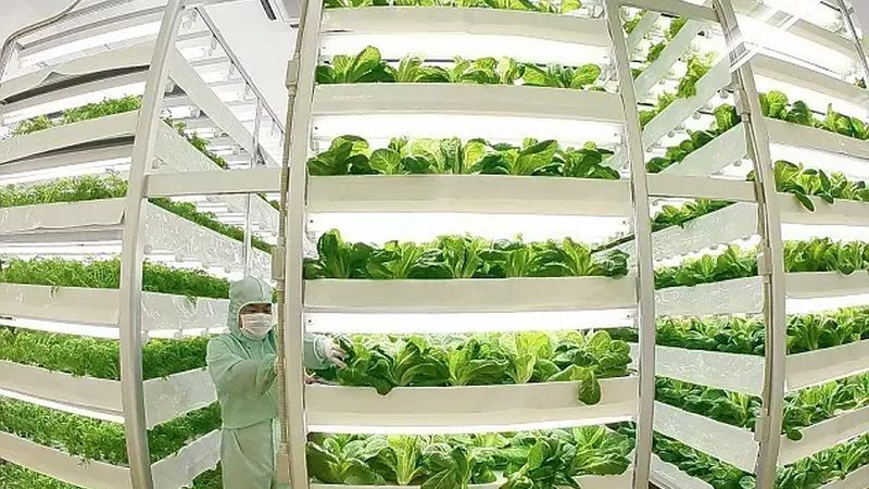 浙江生态农业公司推荐