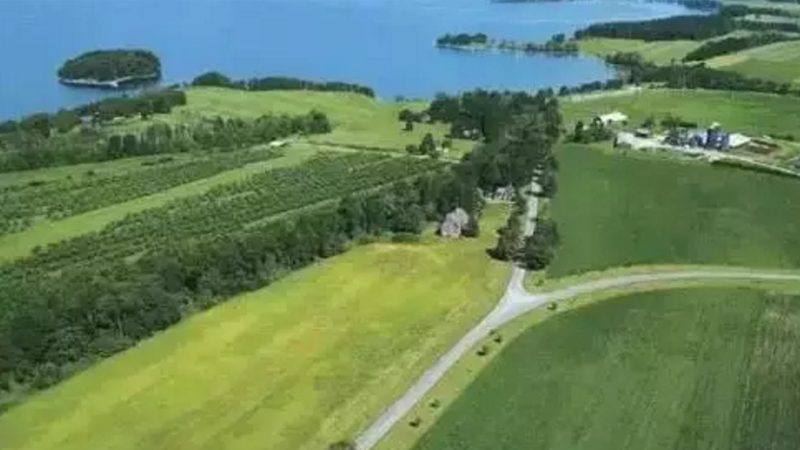 蔬菜大棚农业项目材料清单：构建高效种植环境的关键要素