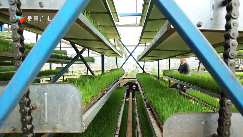 四川农业种植技术推广站代理政策解读：助力农业发展新篇章**
