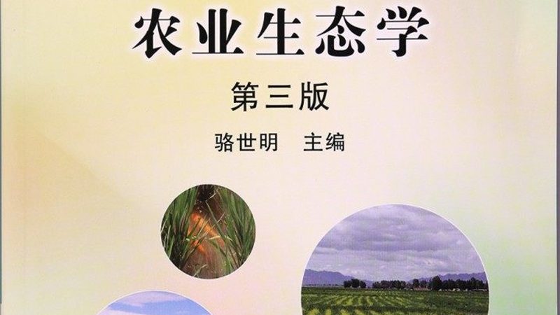 蔬菜配送价格计算公式：揭秘成本构成与定价策略**