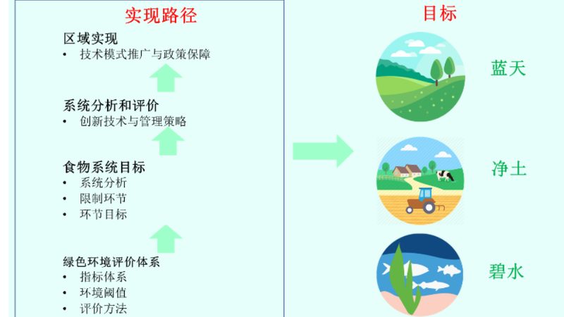 有机种植病虫害防治：绿色防控，守护农田健康