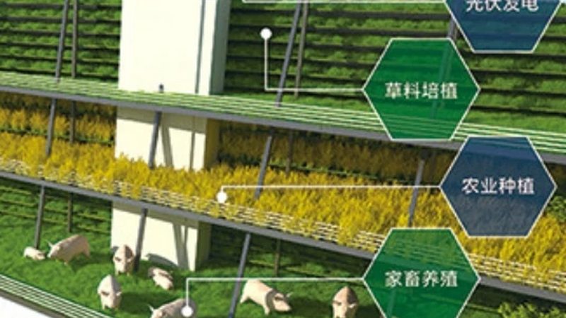 农业节庆活动策划：费用构成与合理预算