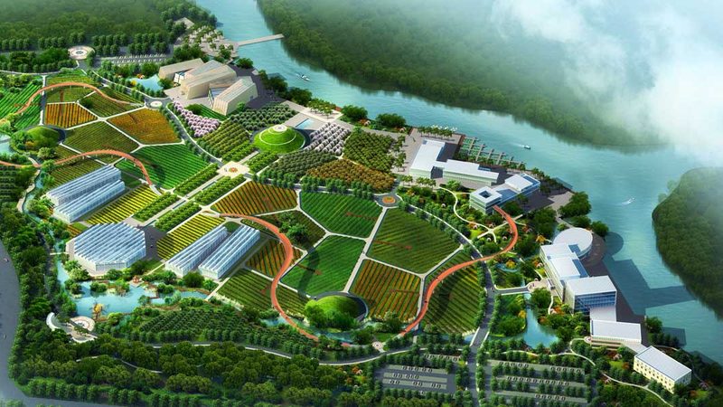 农民专业合作社验资之谜：揭秘流程与要点