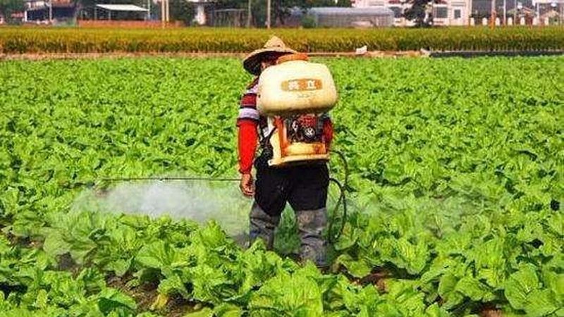合作社注销代理公司：流程解析与注意事项