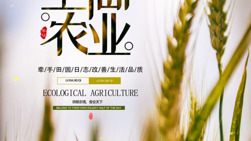 农产品批发价格与零售价：差异背后的真相